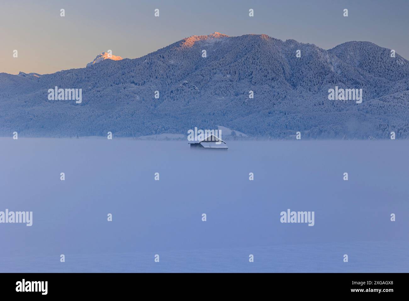 Capanna in legno al tramonto di fronte alle montagne, inverno, Loisach-Kochelsee-Moor, vista su Rabenkopf e Jochberg, Baviera, Germania, Europa Foto Stock