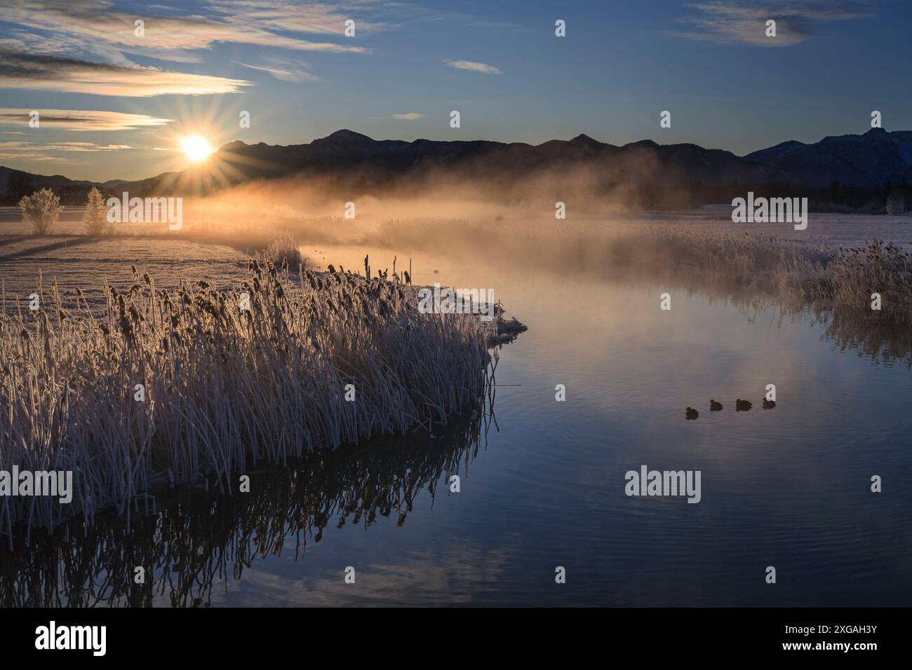 Alba su un fiume, montagne, inverno, fiume ACH, Murnau, Baviera, Germania, Europa Foto Stock