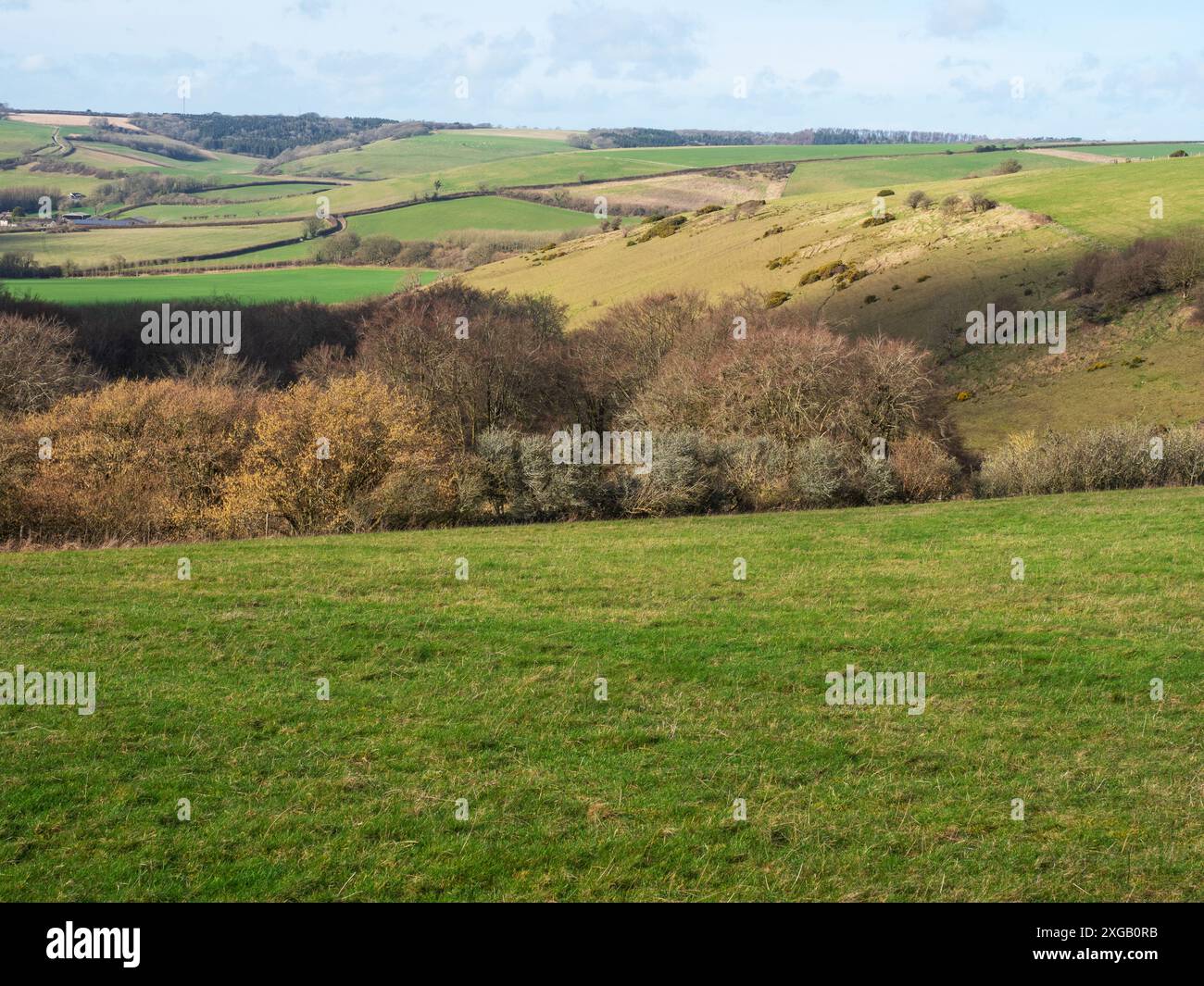 Gesso a valle di Hog Hill ed Ellston Hill dal Wessex Ridgeway vicino Sydling St Nicholas, Dorset, Inghilterra, Regno Unito, febbraio 2022 Foto Stock