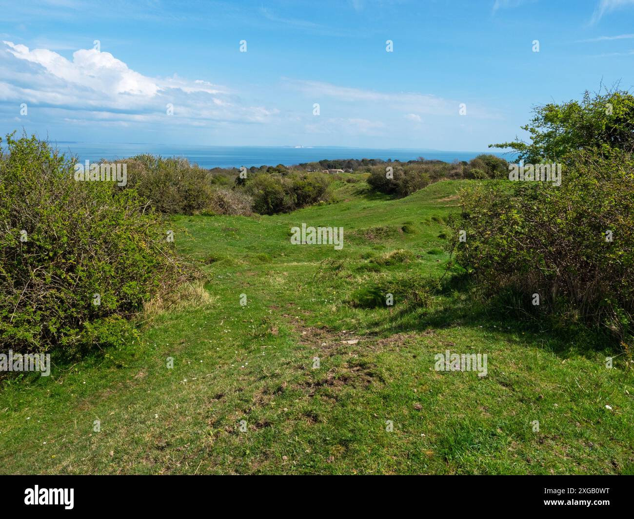 Grassland di gesso sulla Townsend Nature Reserve, Dorset Wildlife Trust Reserve, con l'Isola di Wight oltre, Dorset, Inghilterra, Regno Unito, aprile 2022 Foto Stock