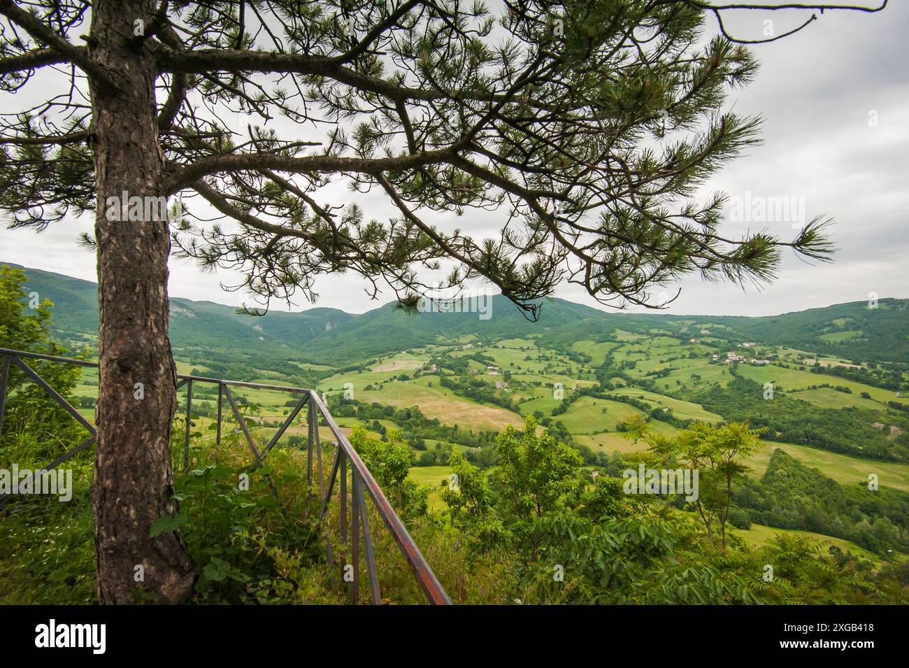 Le verdi colline dell'Emilia Romagna Foto Stock