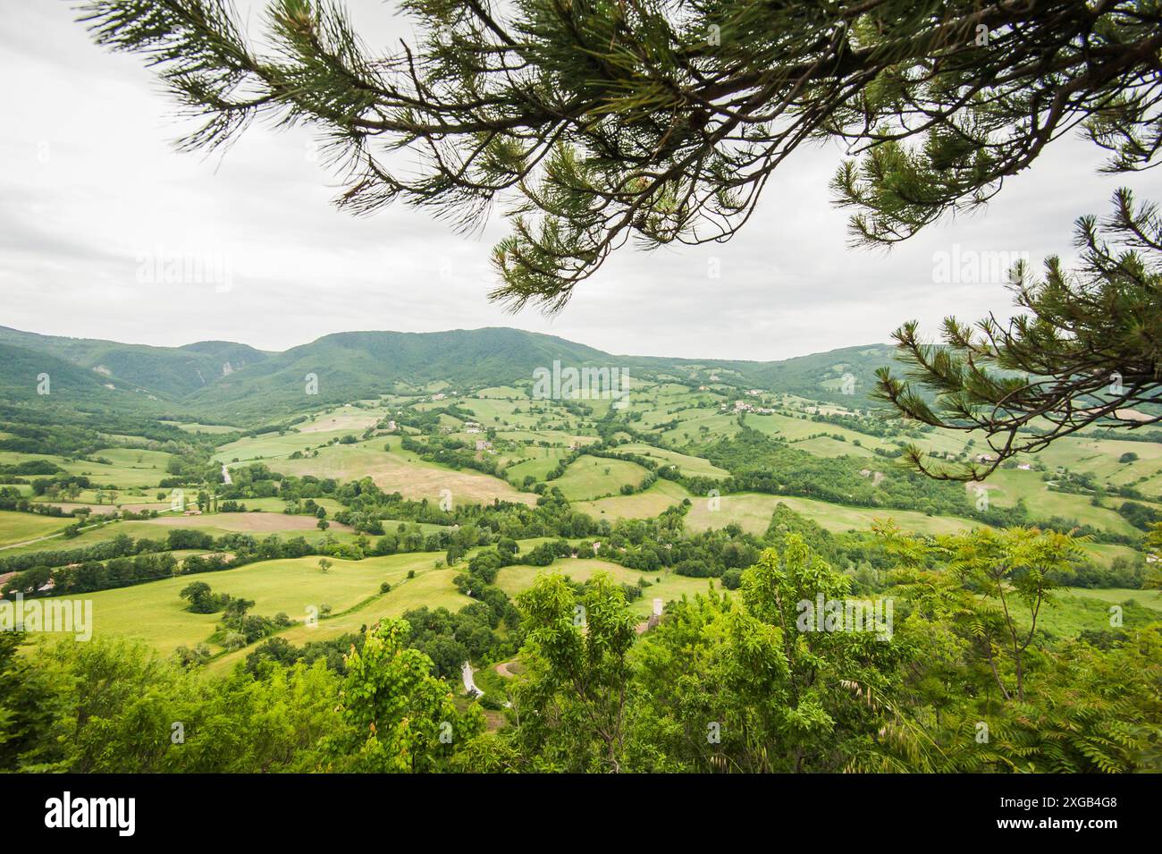 Le verdi colline dell'Emilia Romagna Foto Stock