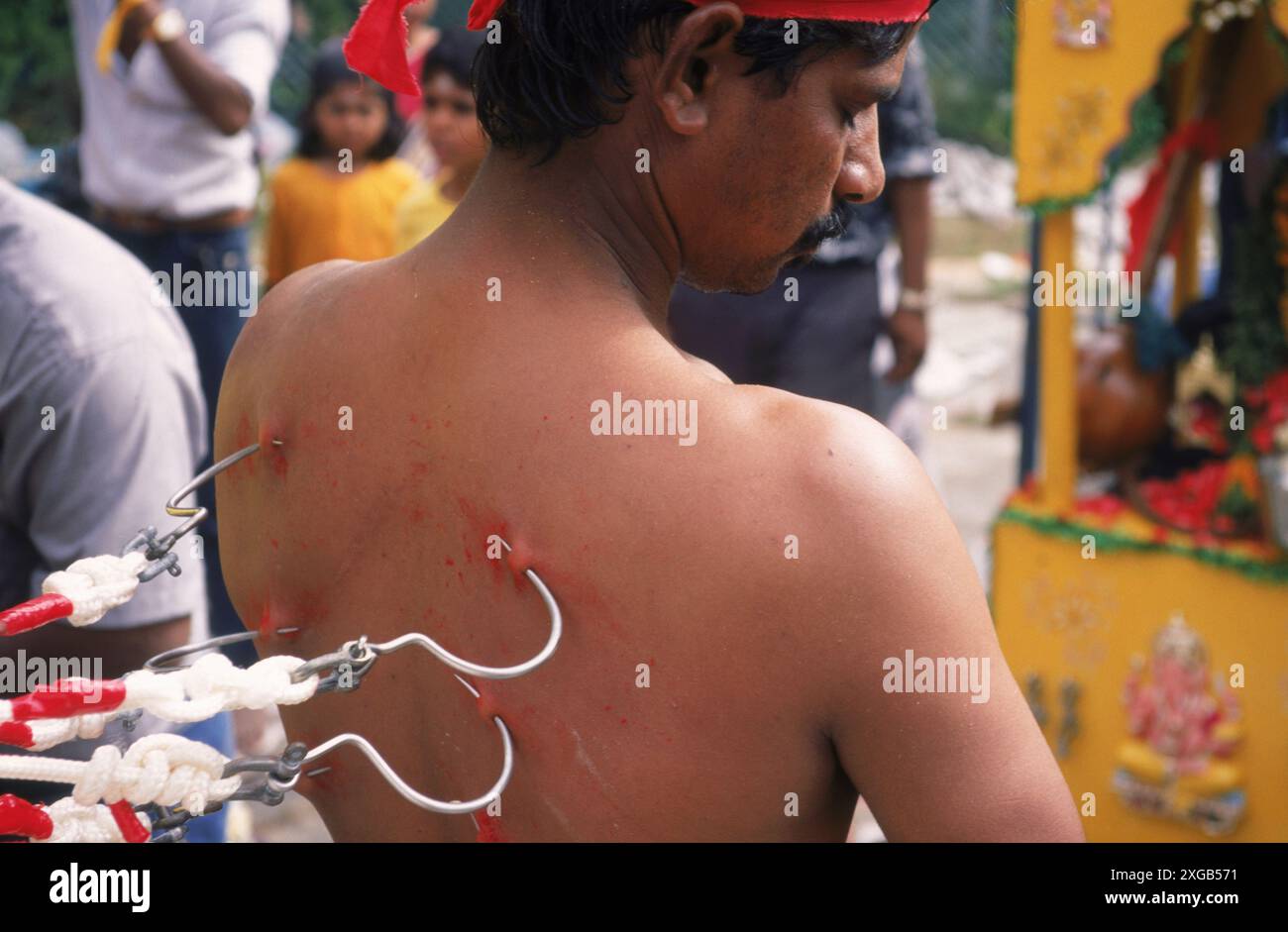 Festa di Thaipusam - i fedeli indù si sottopongono a mortificazione corporea con ganci e picchetti. Foto Stock