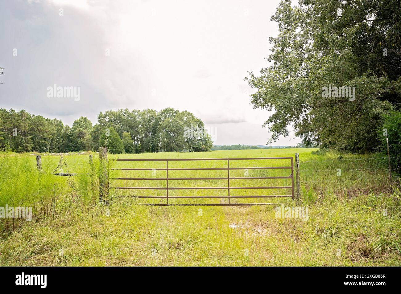 Cancello metallico che si apre su un ampio campo verde con alberi e un cielo nuvoloso Foto Stock