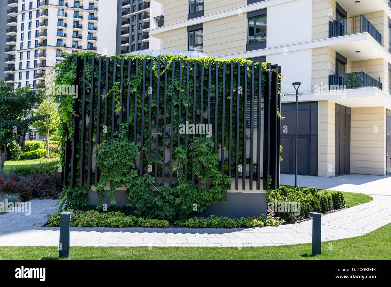 Giardino verticale su una parete verde. Spazio urbano ecologico. Foto Stock