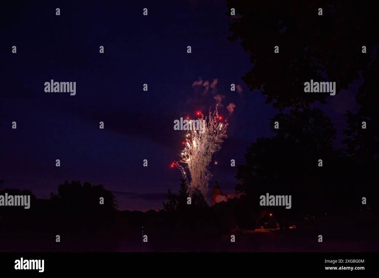 Un colorato fuochi d'artificio nel cielo notturno nero con un castello e alberi Foto Stock