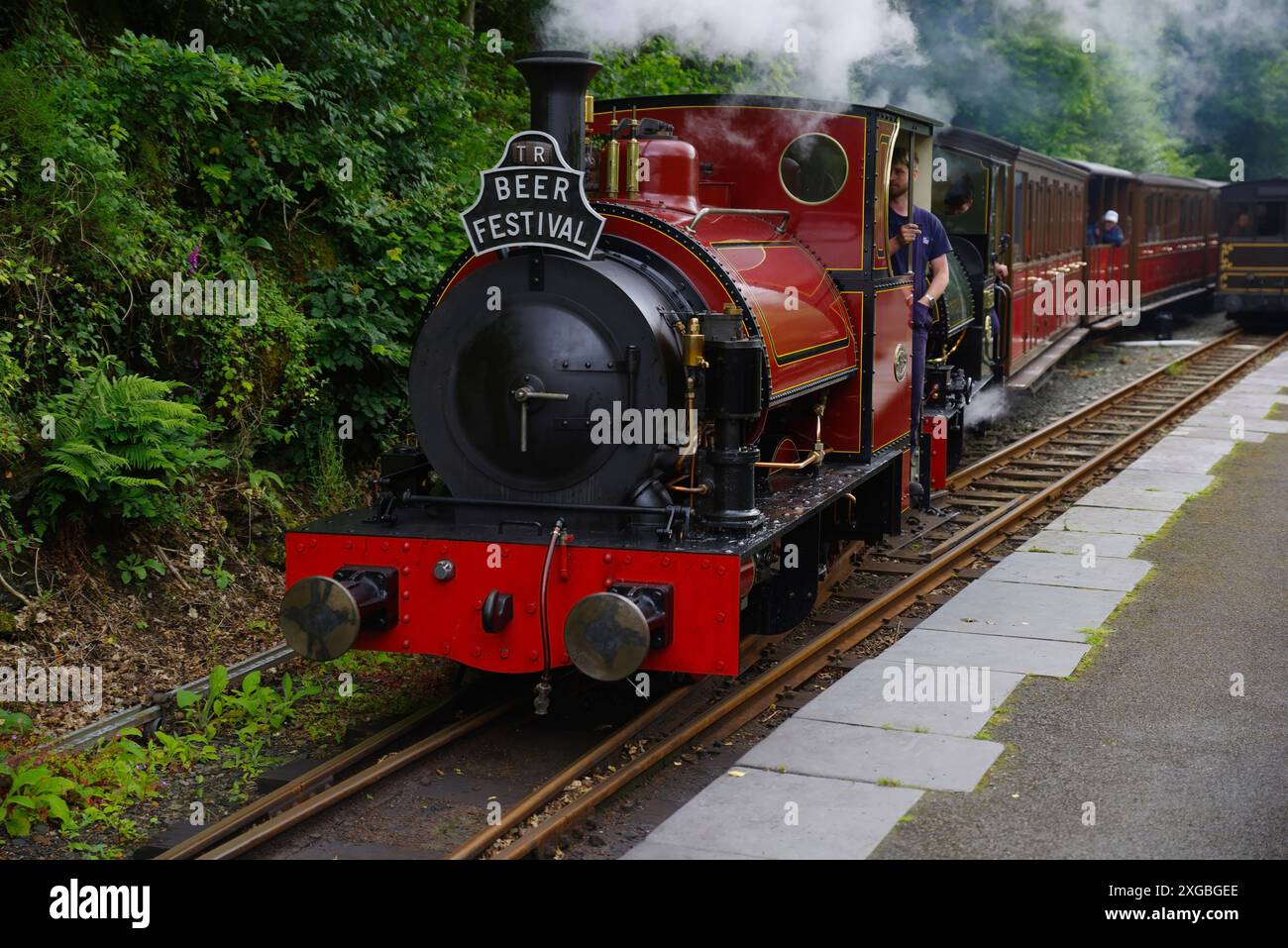 Tal y Llyn, scartamento ridotto, ferrovia a vapore, n. 10, Nant Gwernol, Foto Stock