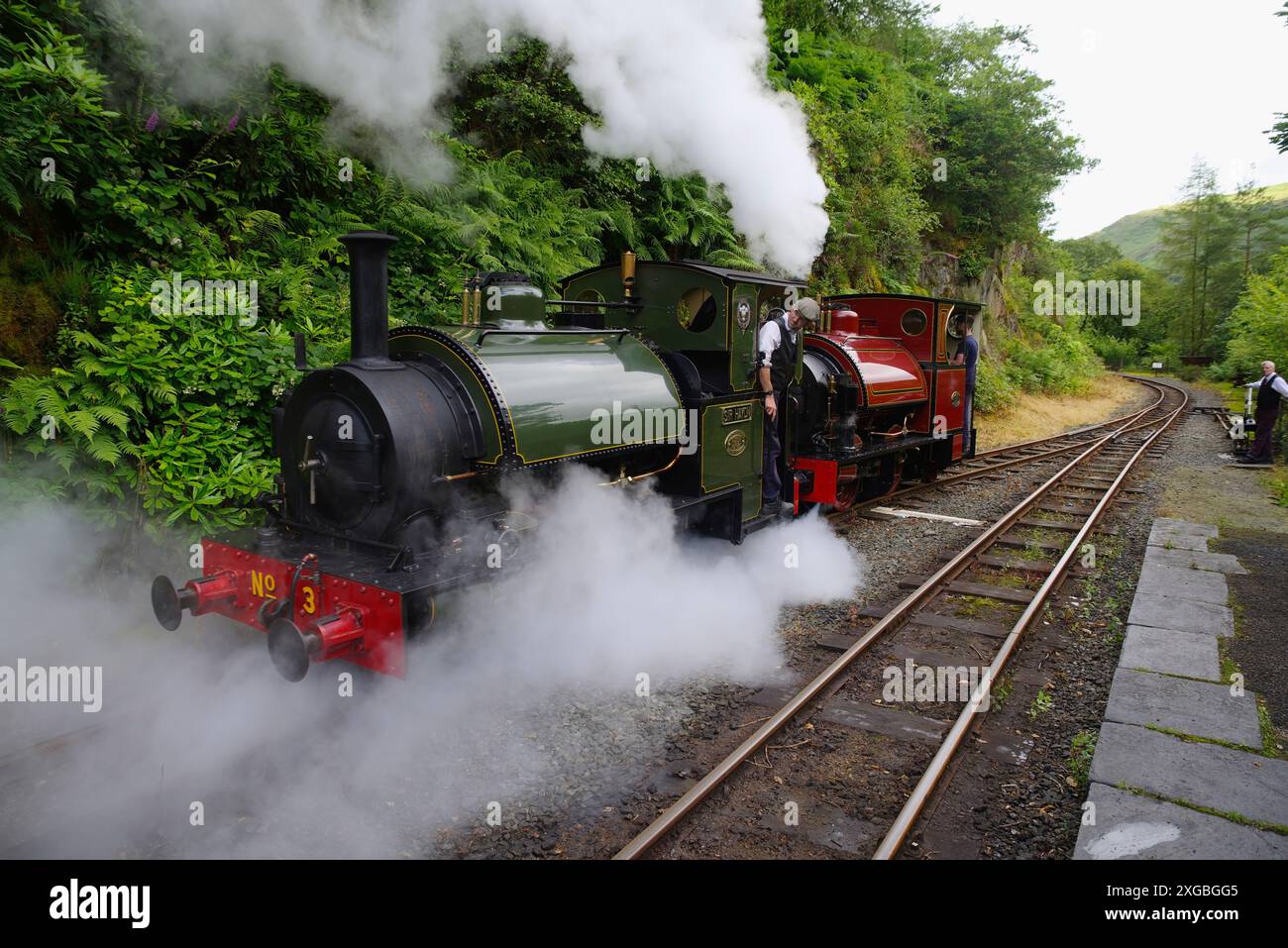 Tal y Llyn , Narrow Gauge, Steam Railway, Locomotive, n. 3, Sir Haydn, Nant Gwernol, Foto Stock