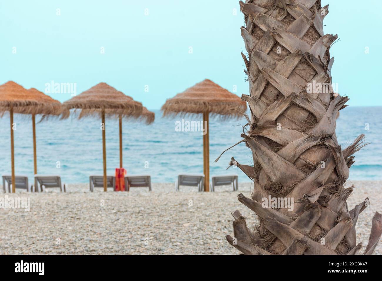 Sombrillas y tumbonas preparadas en una playa del mar Mediterráneo Foto Stock