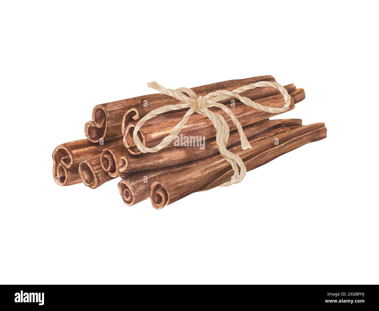 Pila di bastoncini aromatici di cannella legati con corda di iuta. Spezia marrone naturale da aggiungere a cibi e bevande, per l'arredamento della casa. Illustrazione acquerello. Foto Stock