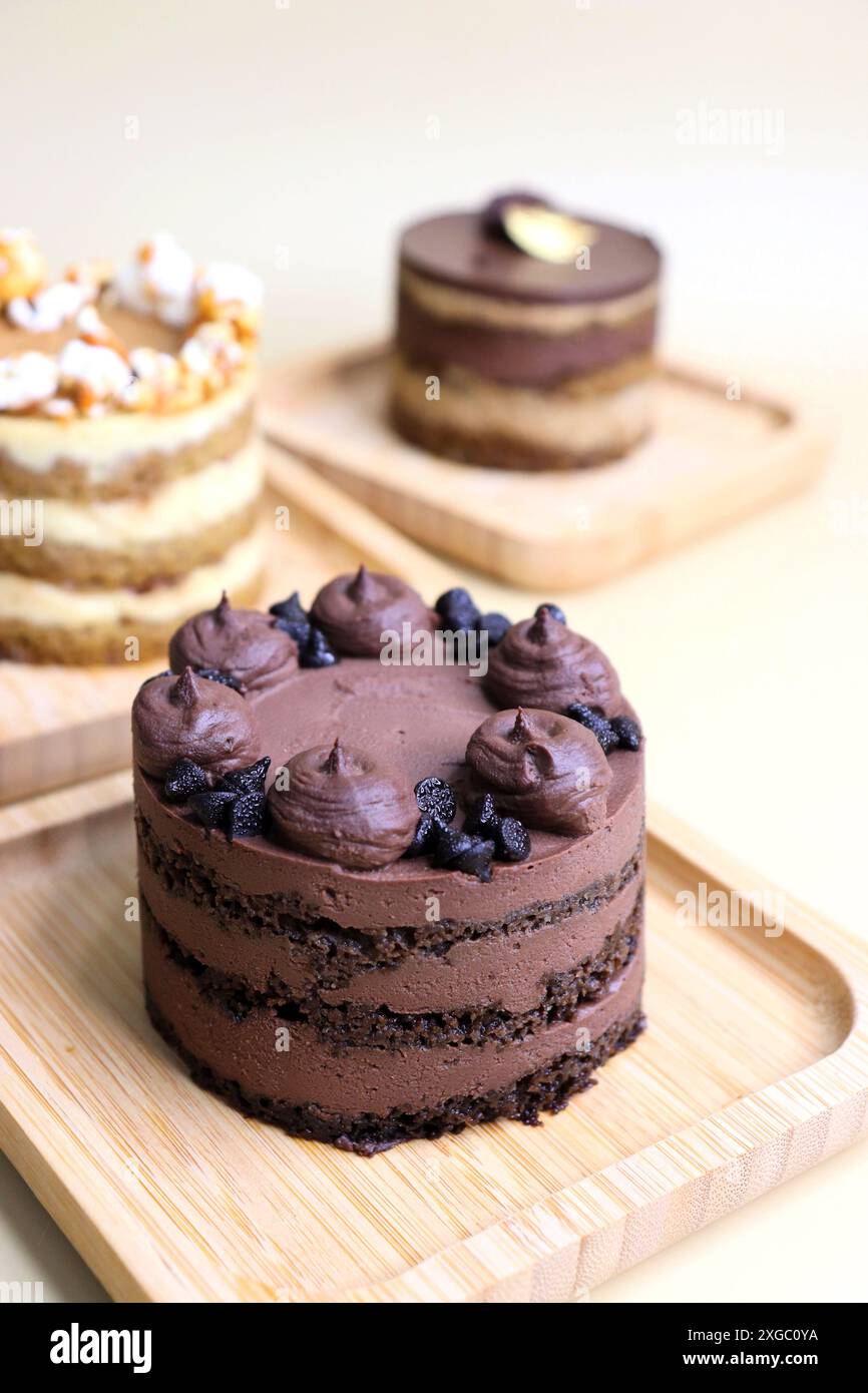 Mini torte di stagione assortite. Nocciola, Opera, caramello salato e doppio cioccolato. Varietà infinita, facile da servire, strati umidi, glassa ricca. Foto Stock