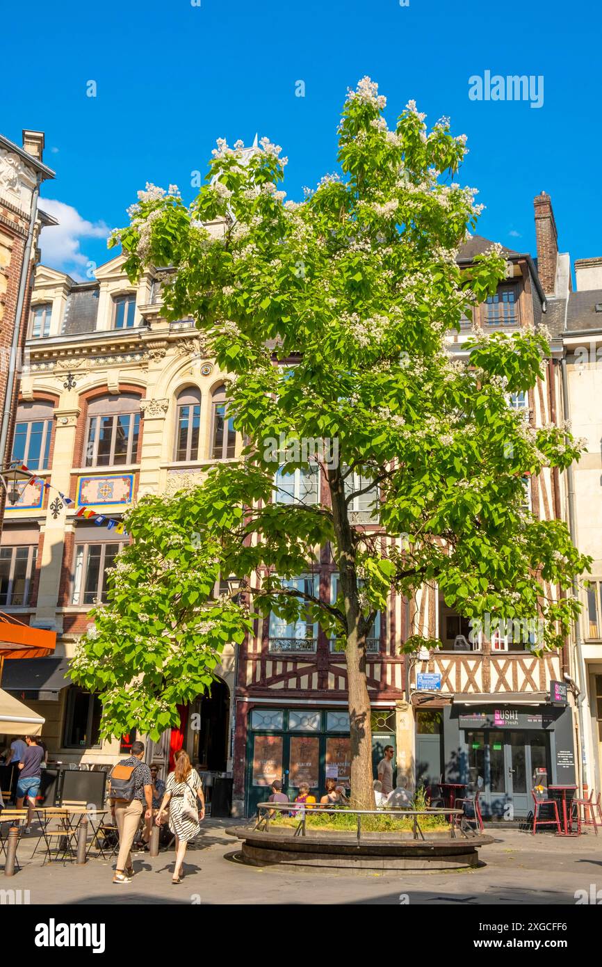 Francia, Seine Maritime, Rouen, Place de la Pucelle in omaggio a Giovanna d'Arco bruciata viva non lontano da lì Foto Stock