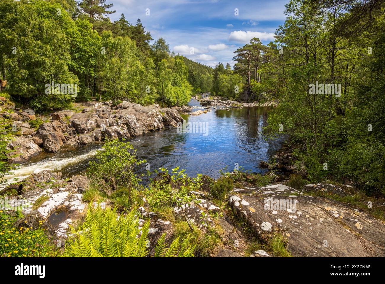 Il fiume Affric scorre attraverso Glen Affric, Inverness, Scozia Foto Stock