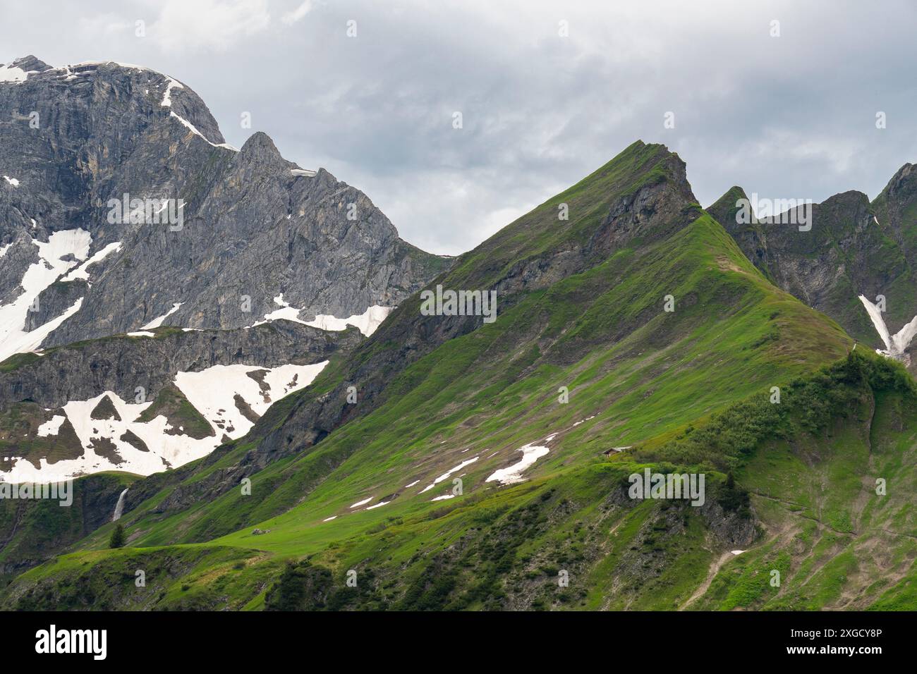 Ripido pendio dalle alpi austriache, con prato verde appena fino alla vetta della montagna e cascina alpina in legno, erba verde e pascolo fiorito Foto Stock