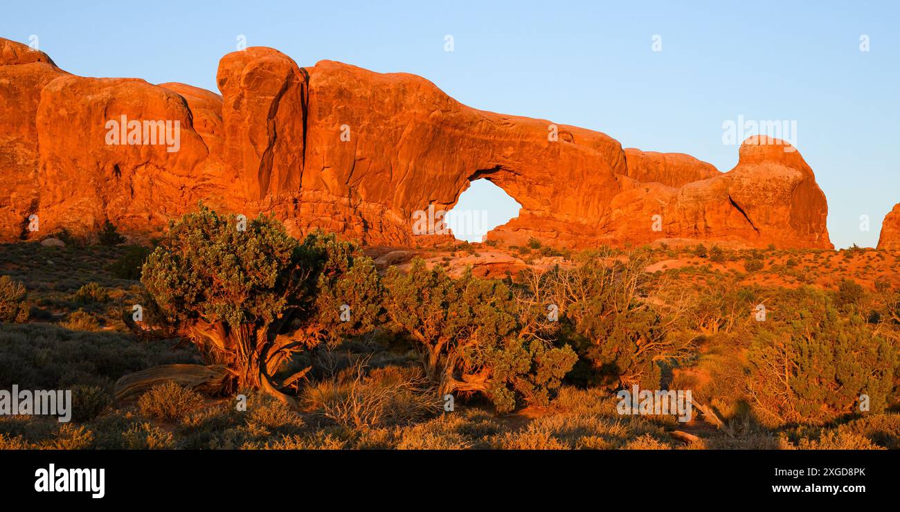 Vista panoramica dell'iconico North Window Arch nell'Arches National Park, al caldo sole al tramonto con alberi di ginepro dello Utah Foto Stock