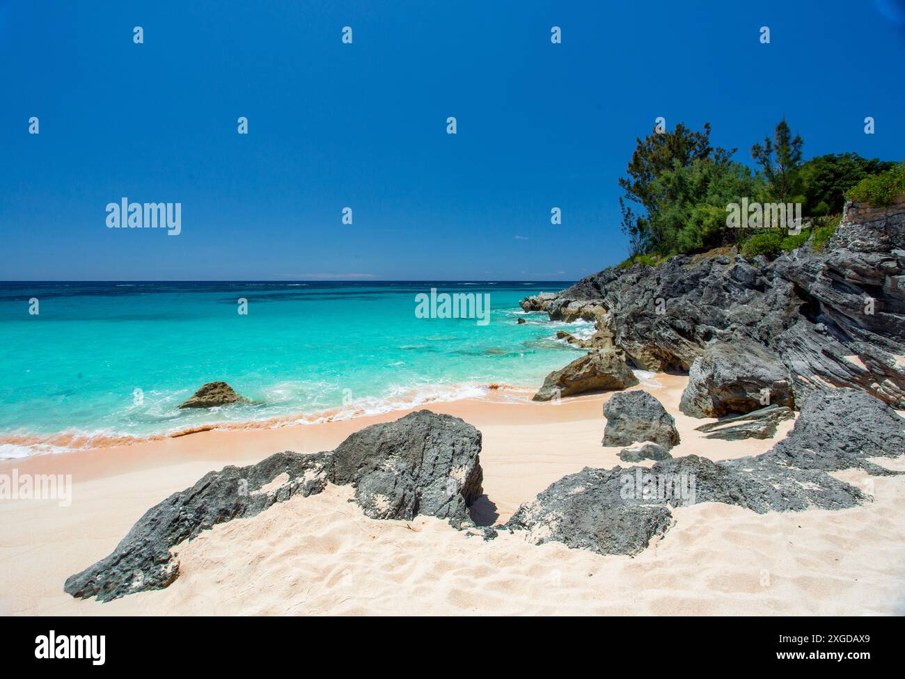 Pink Beach, South Shore, Smiths Parish, Bermuda, Atlantic, nord America Foto Stock