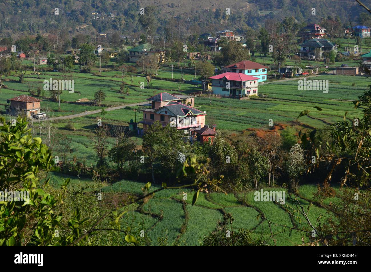 Vista panoramica della campagna con area agricola e forestale in Himachal Pradesh, India, Asia Foto Stock