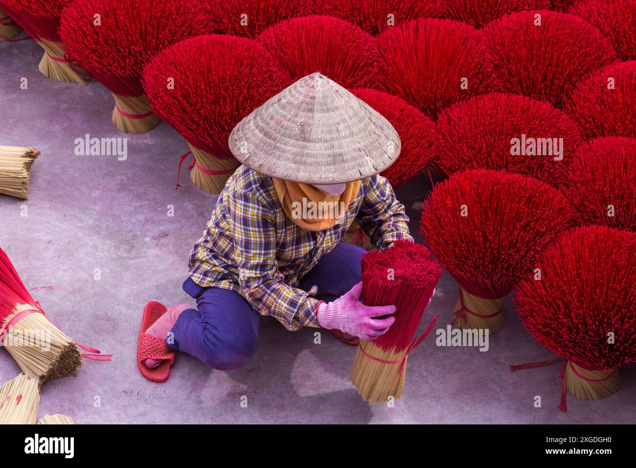 L'incenso rosso vibrante è disposto a terra per asciugare al sole a Quang Phu Cau, Ung Hoa, Vietnam del Nord, Asia a giugno - bastoncini di incenso rosso donna Foto Stock