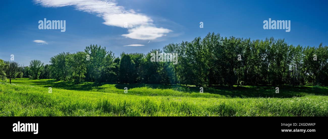 Vista panoramica dei prati verdi lungo il fiume St. Lawrence Foto Stock