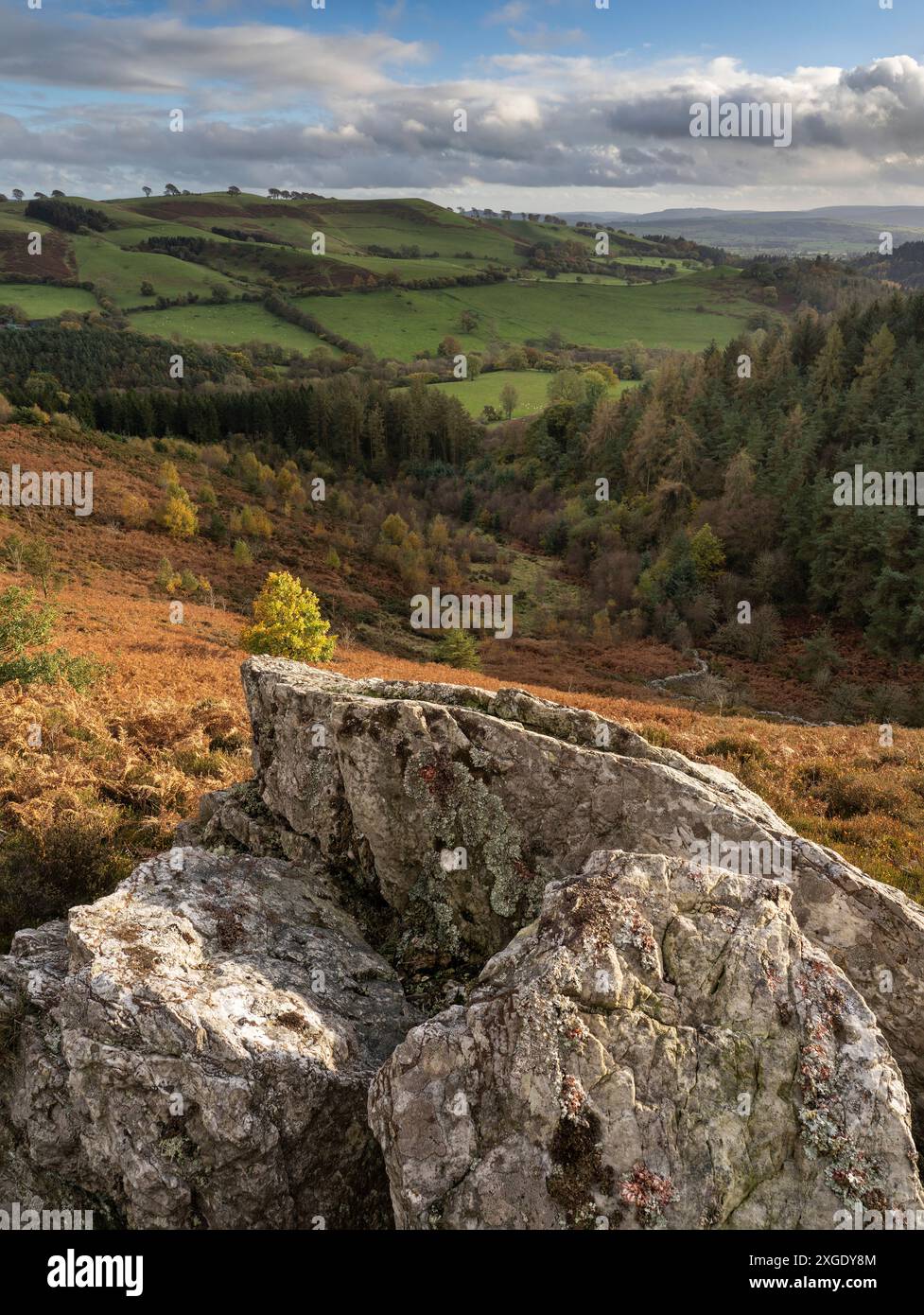 Paesaggi spettacolari e viste da The Stiperstones, una cresta di quarzite esposta nel South Shropshire, Regno Unito Foto Stock