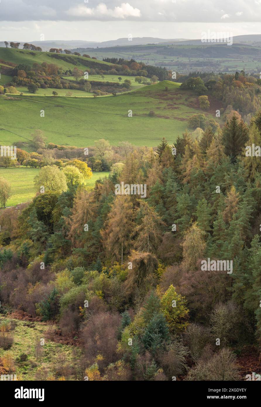 Paesaggi spettacolari e viste da The Stiperstones, una cresta di quarzite esposta nel South Shropshire, Regno Unito Foto Stock