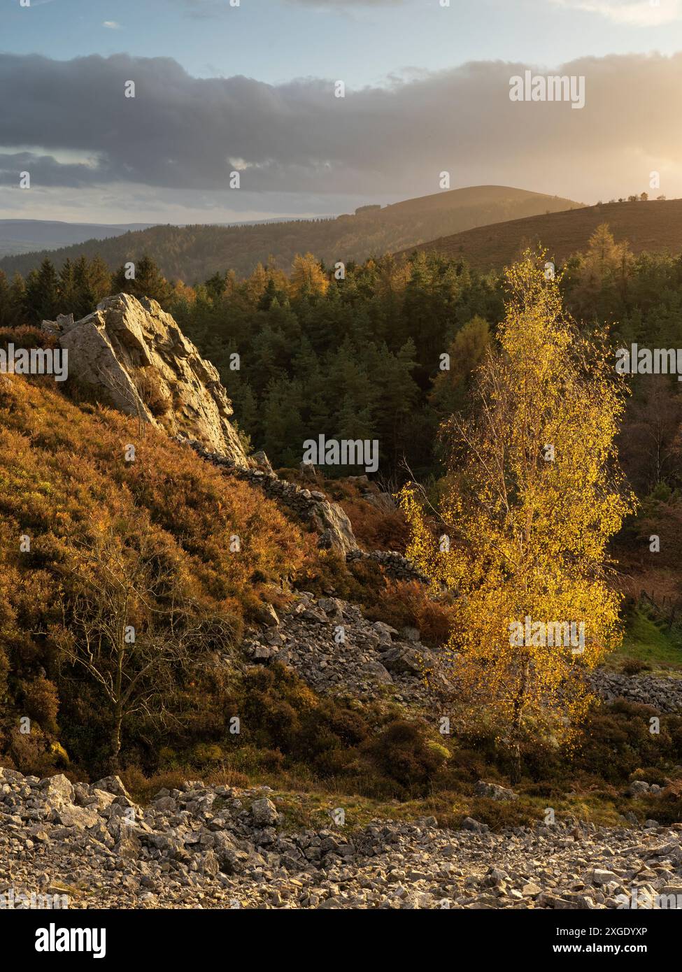 Paesaggi spettacolari e viste da The Stiperstones, una cresta di quarzite esposta nel South Shropshire, Regno Unito Foto Stock