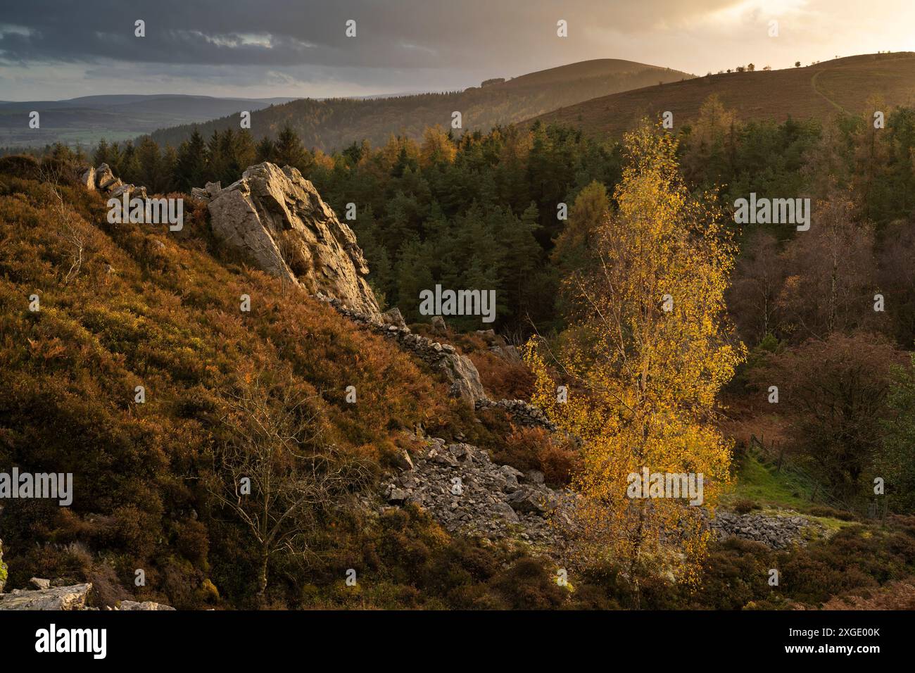 Paesaggi spettacolari e viste da The Stiperstones, una cresta di quarzite esposta nel South Shropshire, Regno Unito Foto Stock