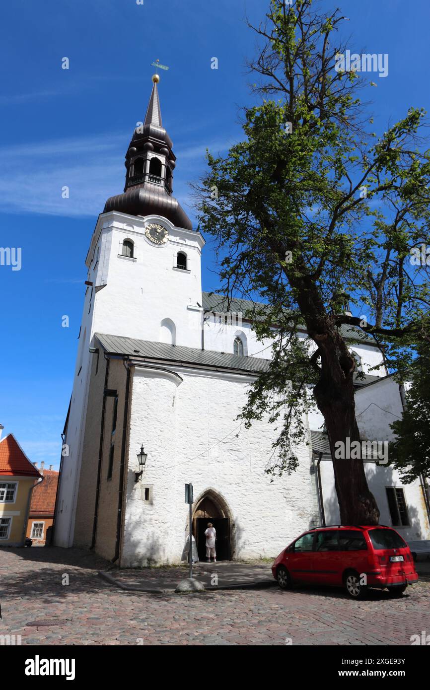 La Cattedrale di St Mary, Tallinn, Estonia Foto Stock