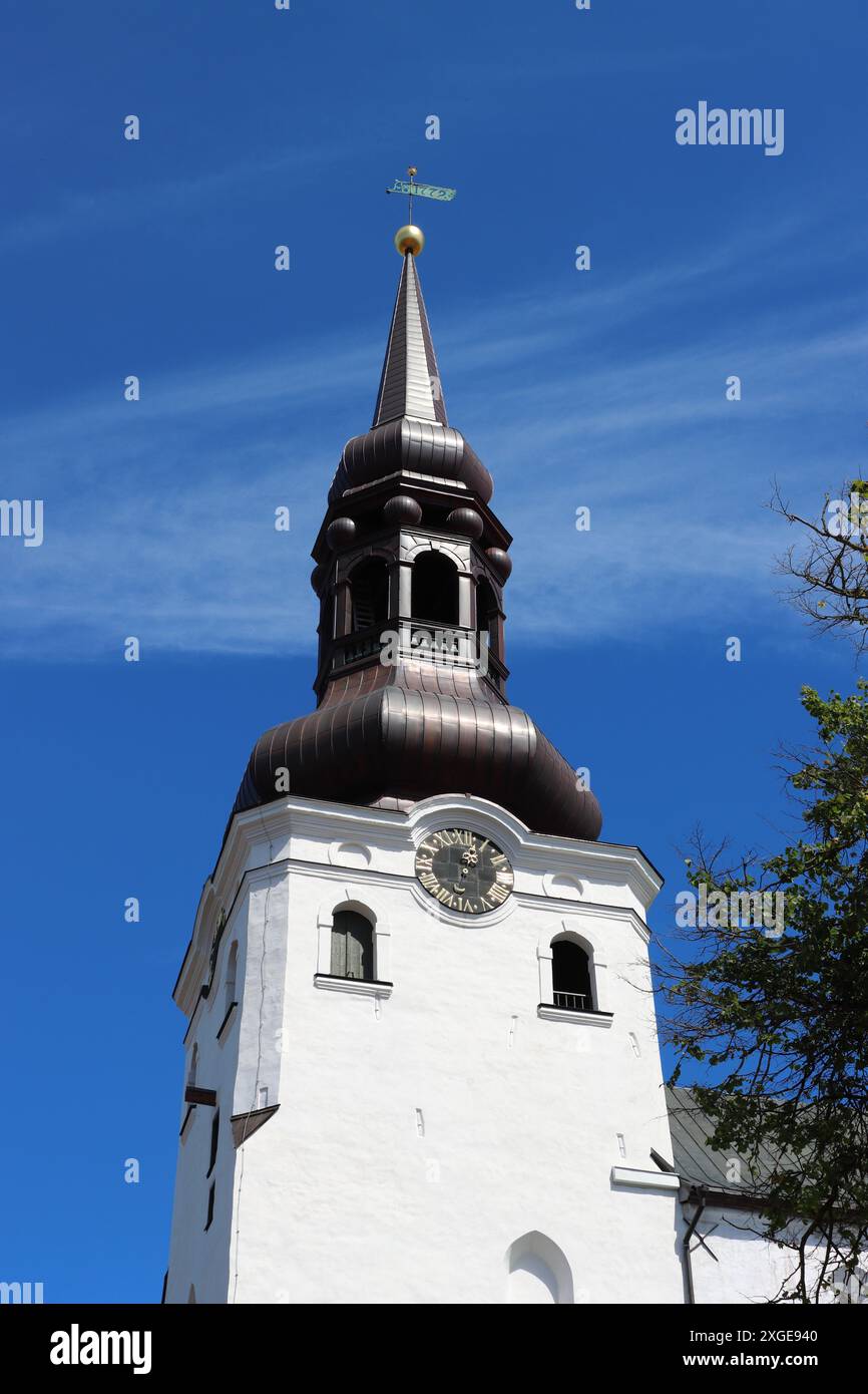 Guglia in rame della Cattedrale di Santa Maria, Tallinn, Estonia Foto Stock