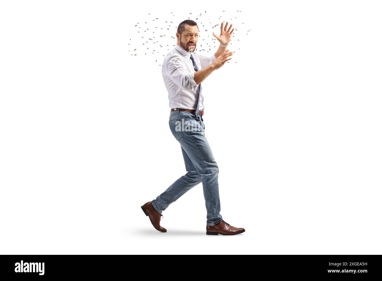 Uomo d'affari attaccato da api isolate su sfondo bianco Foto Stock