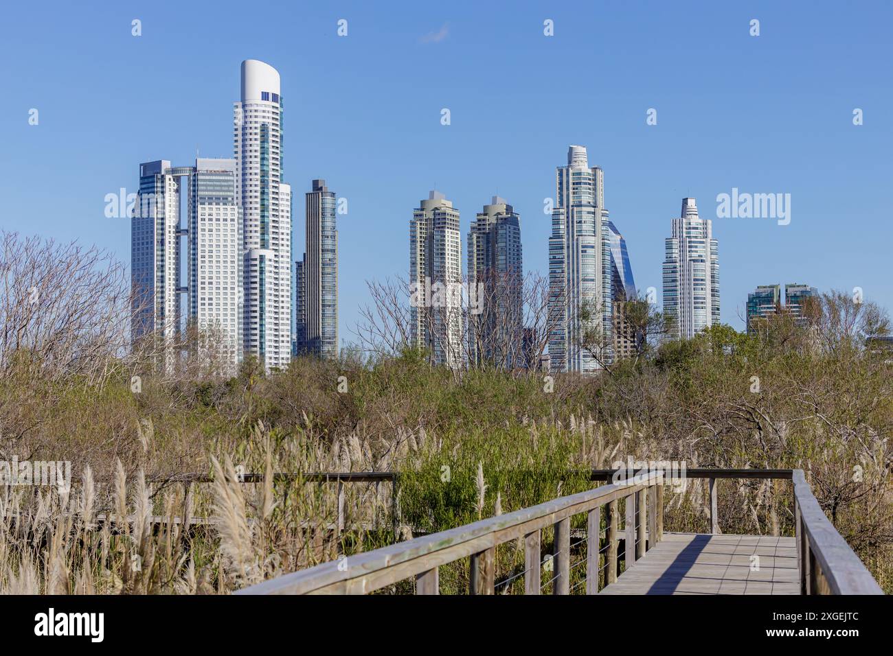 Passerella in legno nella riserva ecologica di Costanera Sur nella città di Buenos Aires con edifici per uffici sullo sfondo. Foto Stock