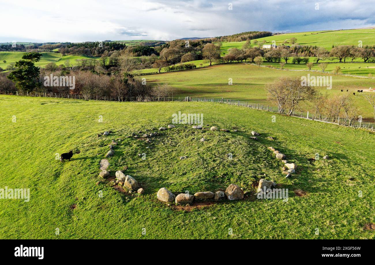 Glassonby Stone Circle nell'Eden Valley N.E. di Penrith. Circolo di cairn preistorico dell'età del bronzo originariamente ricoperto di tumuli di pietra. Luogo di sepoltura. Guardando N Foto Stock