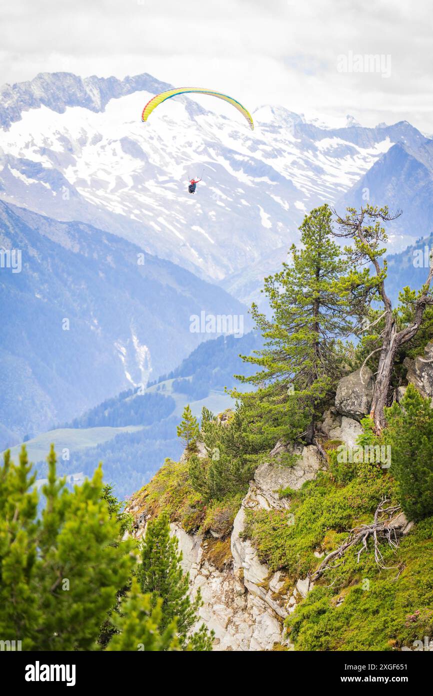 Parapendio su un impressionante paesaggio montano con cime innevate e abeti verdi, Penken e Zillertal. Austria Foto Stock