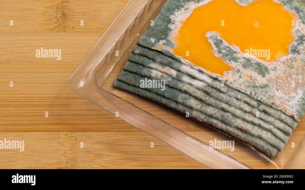 Fette di formaggio giallo ammuffito disposte su un tagliere di bambù. Spore di muffa verdi sul cibo. Cibo sprecato scaduto Foto Stock