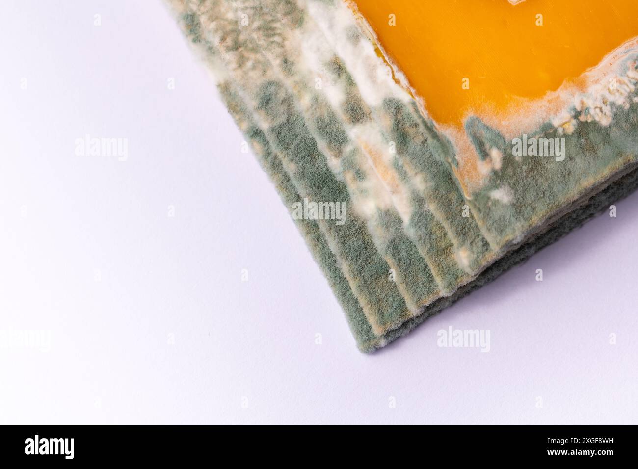 Fette di formaggio giallo ammuffito disposte su un tagliere di bambù. Spore di muffa verdi sul cibo. Cibo sprecato scaduto Foto Stock