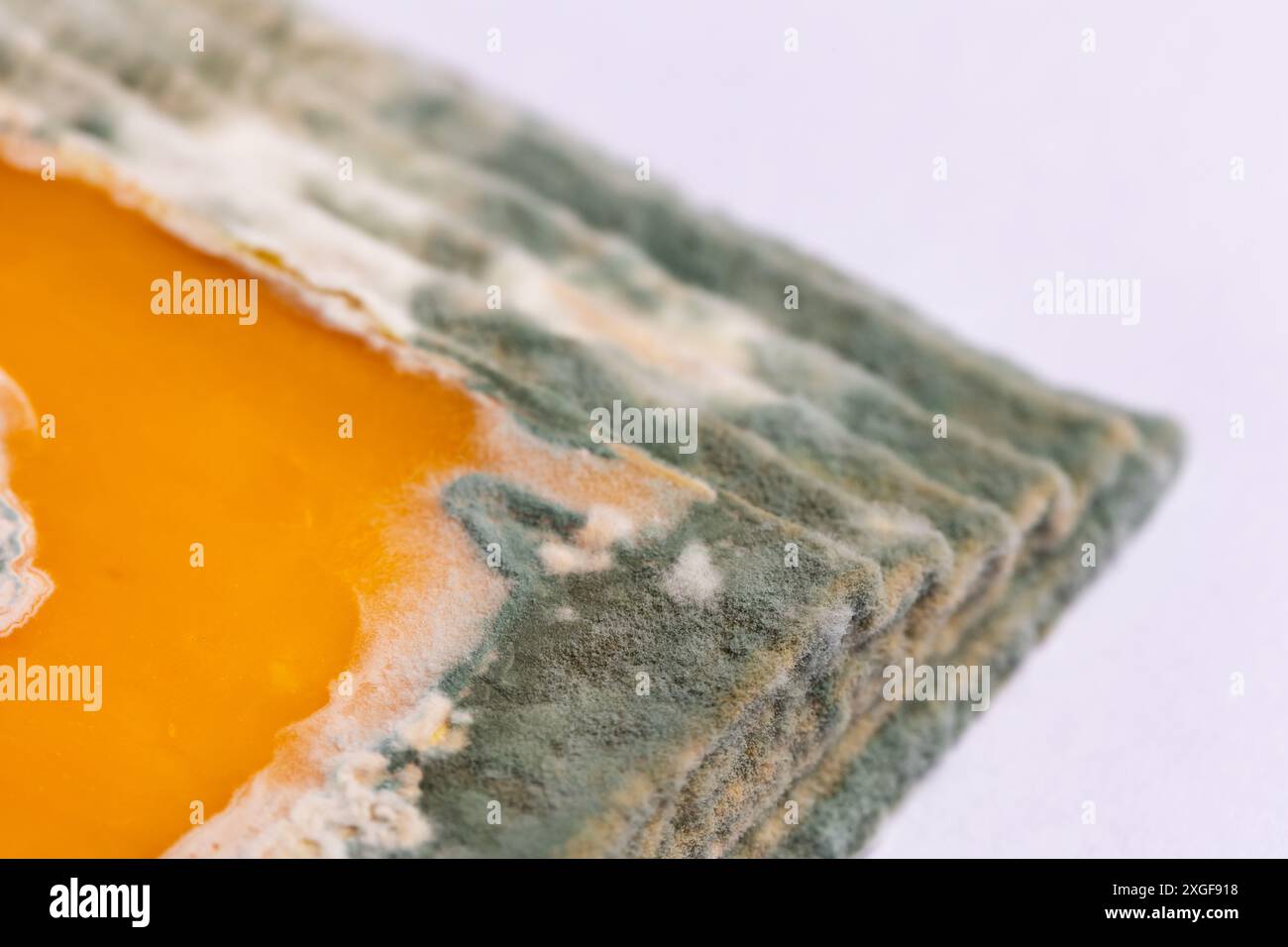 Fette di formaggio giallo ammuffito disposte su un tagliere di bambù. Spore di muffa verdi sul cibo. Cibo sprecato scaduto Foto Stock