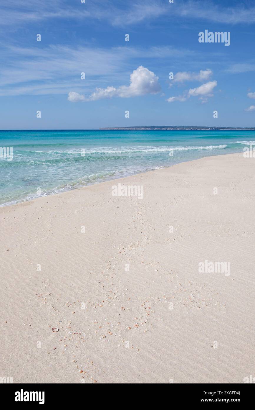 Es Arenals, spiaggia di Migjorn, Formentera, Isole Pitiusas, Comunità Baleari, Spagna Foto Stock