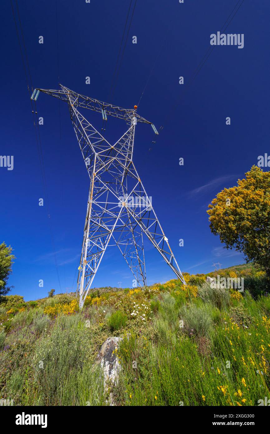 Torre per il trasporto di energia elettrica ad alta tensione Foto Stock