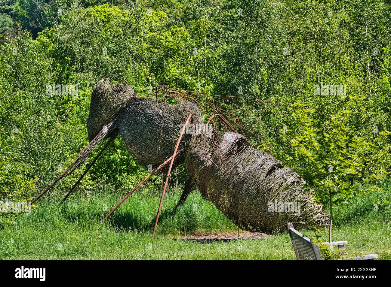 Una grande scultura tessuta di un insetto, forse una formica, realizzata con materiali naturali ed esposta in un lussureggiante ambiente verde all'aperto, Regno Unito, UE Foto Stock