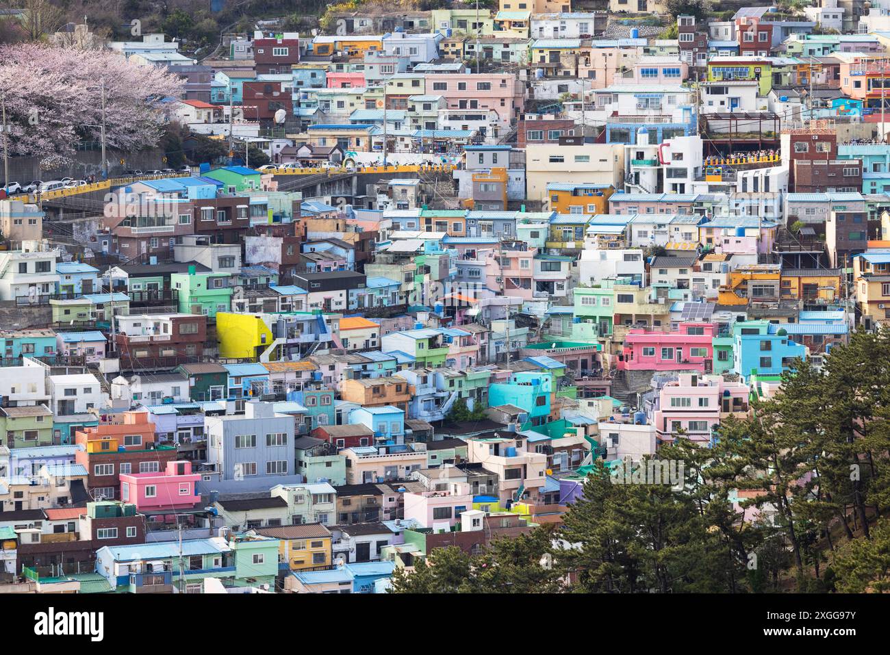 Case colorate del villaggio culturale Gamcheon, Busan, Corea del Sud, Asia Foto Stock