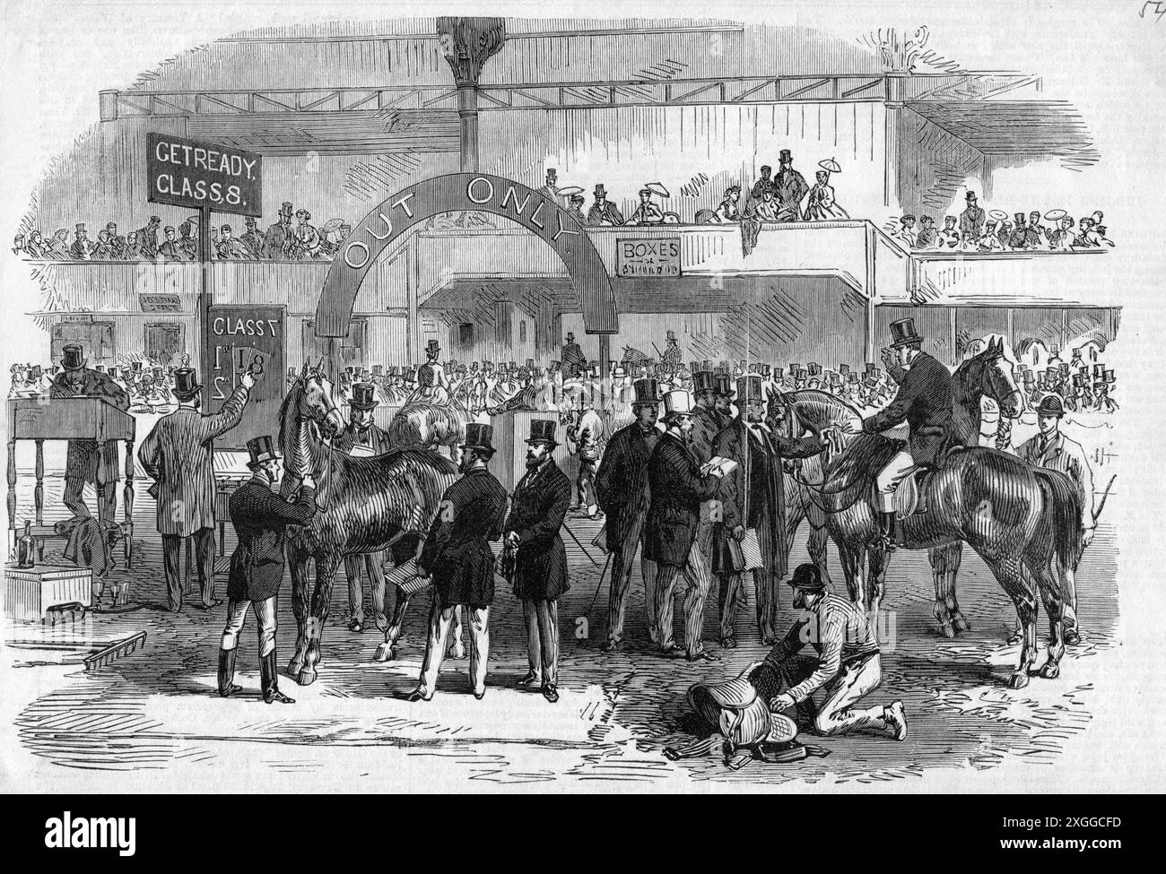 Mostre, zoologia/animali, esposizione ippica, Royal Agricultural Hall, Islington, LONDRA, ULTERIORI-DIRITTI-AUTORIZZAZIONE-INFORMAZIONI-NON-DISPONIBILI Foto Stock