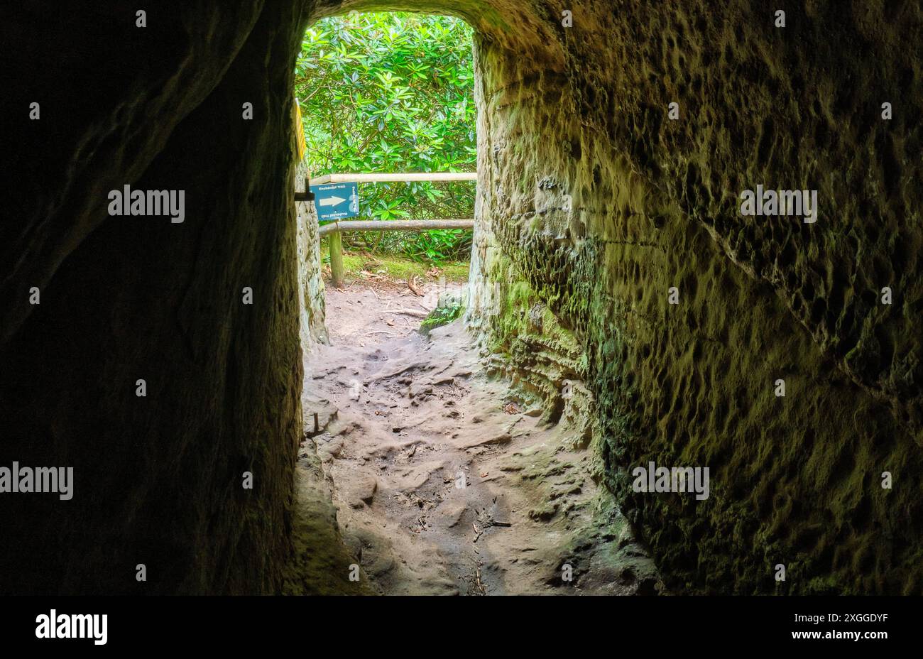 Tunnel sul percorso inferiore a Hawkstone Follies, Hawkstone Park, Weston-under-Redcastle, Shrewsbury, Shropshire Foto Stock