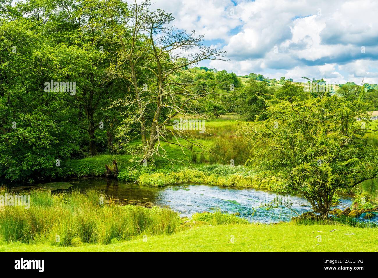 La valle del fiume dove vicino a Hartington nel Peak District National Park Foto Stock