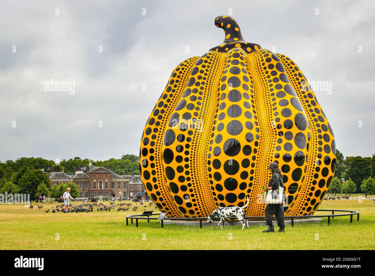 Londra, Regno Unito. 9 luglio 2024. Sofia, un cane dalmata di quasi tre anni, brucina felicemente intorno alla scultura prima di godersi una passeggiata nel parco con il suo proprietario. Questa grande scultura, 'zucca' (2024), realizzata dal giapponese Yayoi Kusama, sarà in situ presso lo stagno rotondo nei giardini di Kensington fino a novembre ed è visitabile liberamente nei giardini. È la più grande scultura di zucca in bronzo di Kusama fino ad oggi. Crediti: Imageplotter/Alamy Live News Foto Stock