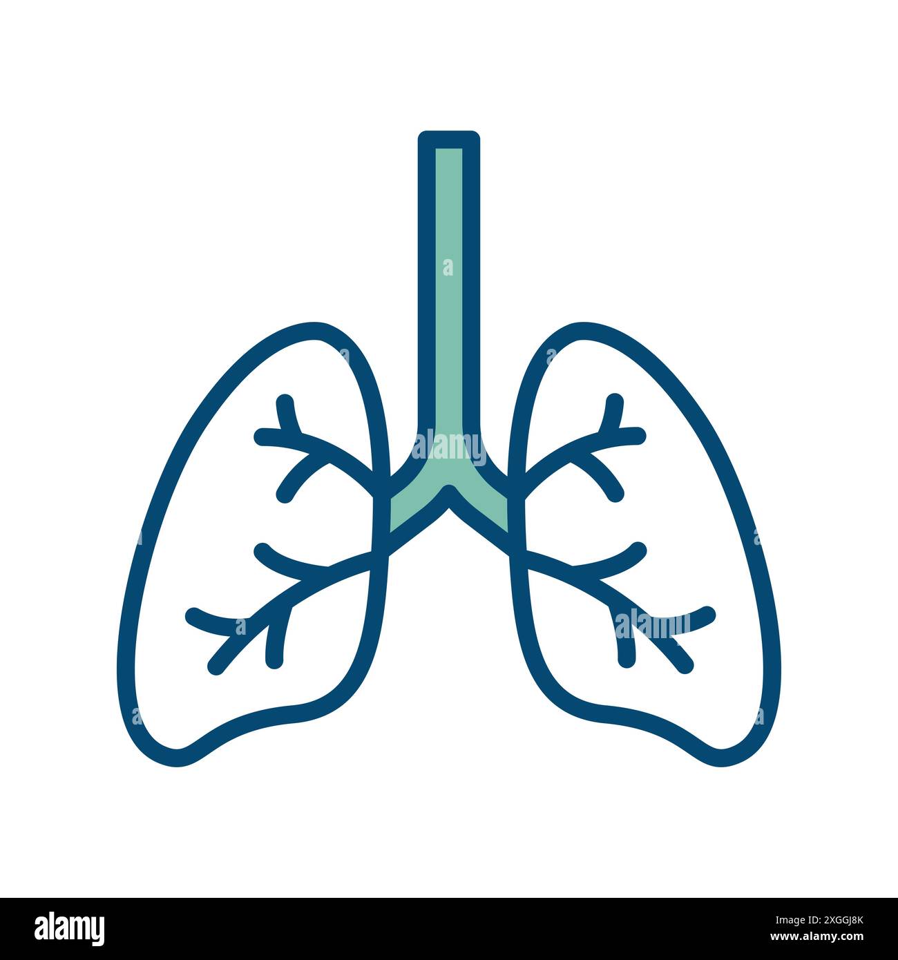 modello di disegno vettoriale dell'icona dei polmoni su sfondo bianco Illustrazione Vettoriale