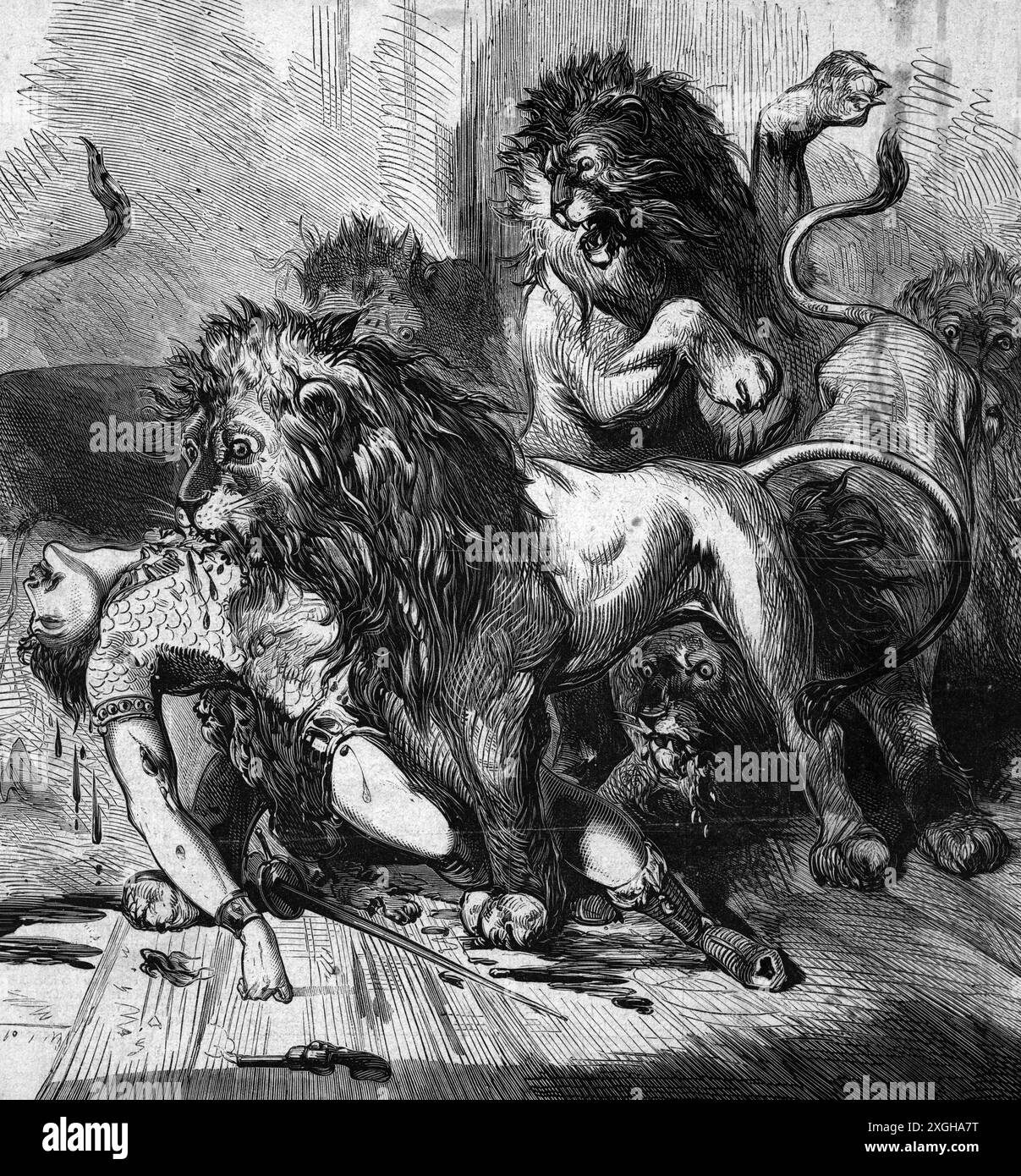 circo, dressage, morte del domatore di leoni Jack M'Garthy, incisione in legno, XIX secolo, il COPYRIGHT DELL'ARTISTA NON DEVE ESSERE CANCELLATO Foto Stock