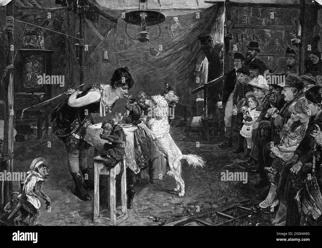 circo, dressage, 'Un colpo di stato brillante', adattato da pittura di Paul Meyerheim (1842 - 1915), incisione in legno, COPYRIGHT DELL'ARTISTA NON DEVE ESSERE CANCELLATO Foto Stock