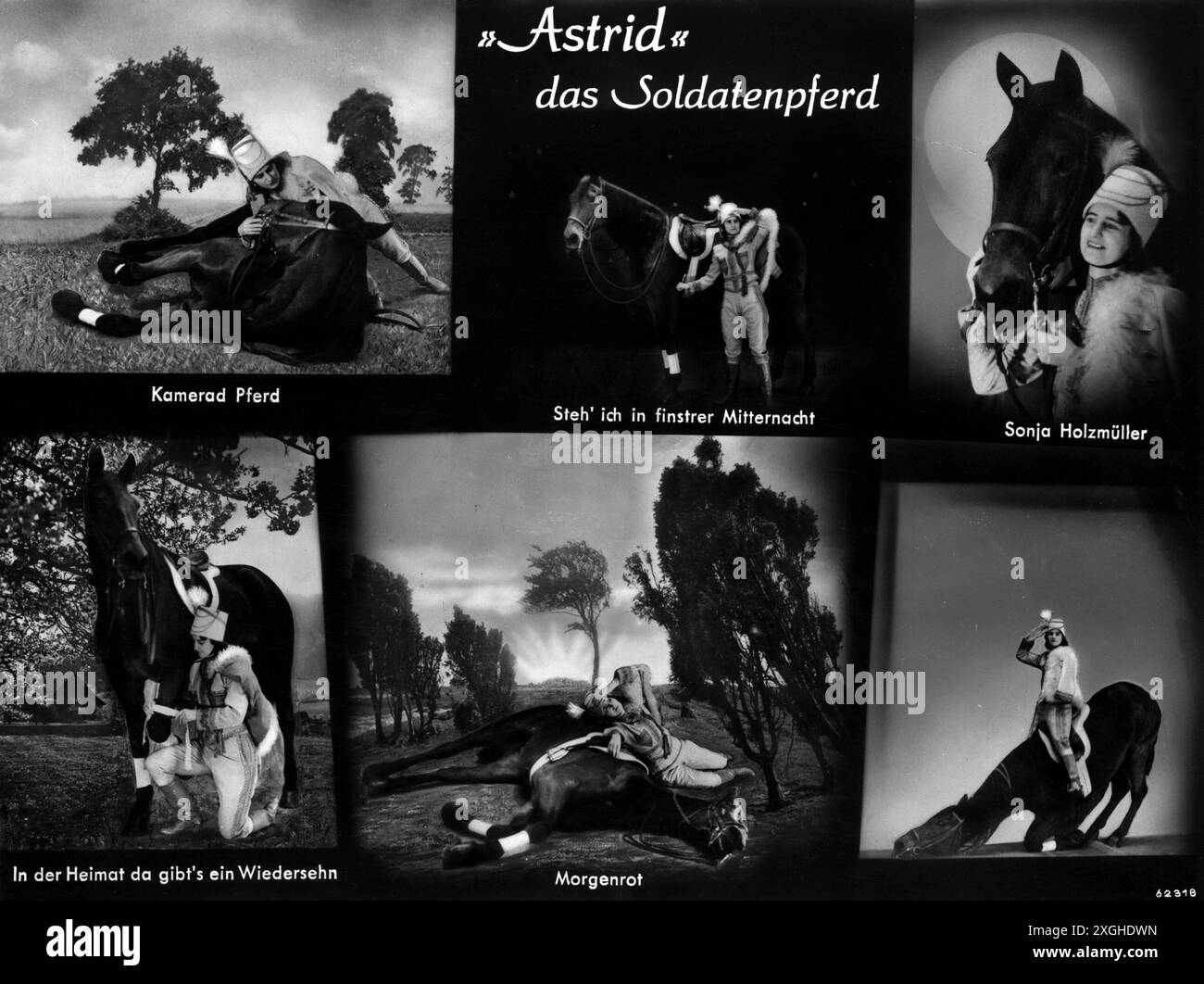 circus, dressage, Astrid the Warhorse, different TRICKS of the Horse, 1910s, ADDITIONAL-RIGHTS-CLEARANCE-INFO-NOT-AVAILABLE Foto Stock