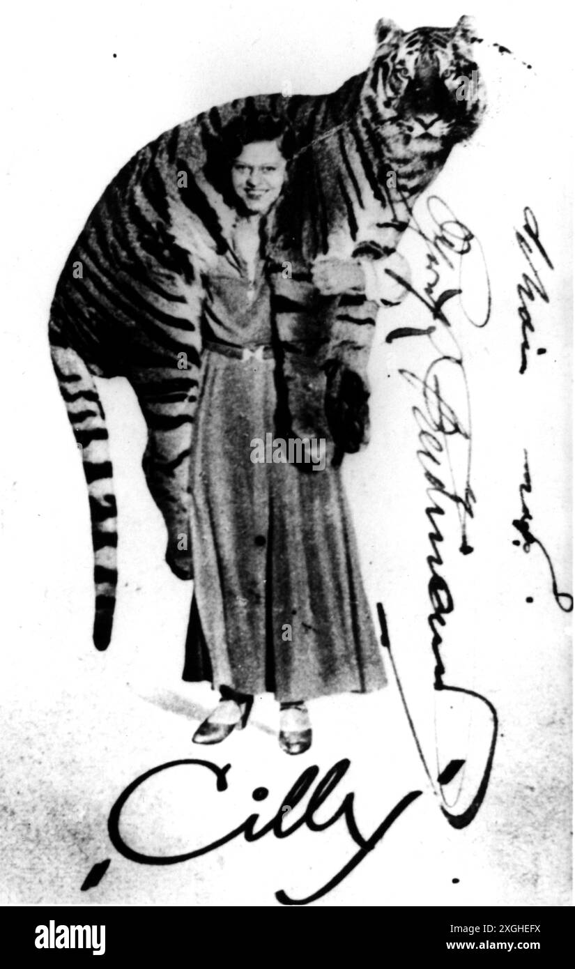 circo, dressage, Cilly the Tigerbride, Circus Krone, carta collezionabile, 1930S, ULTERIORI-DIRITTI-CLEARANCE-INFO-NON-DISPONIBILI Foto Stock
