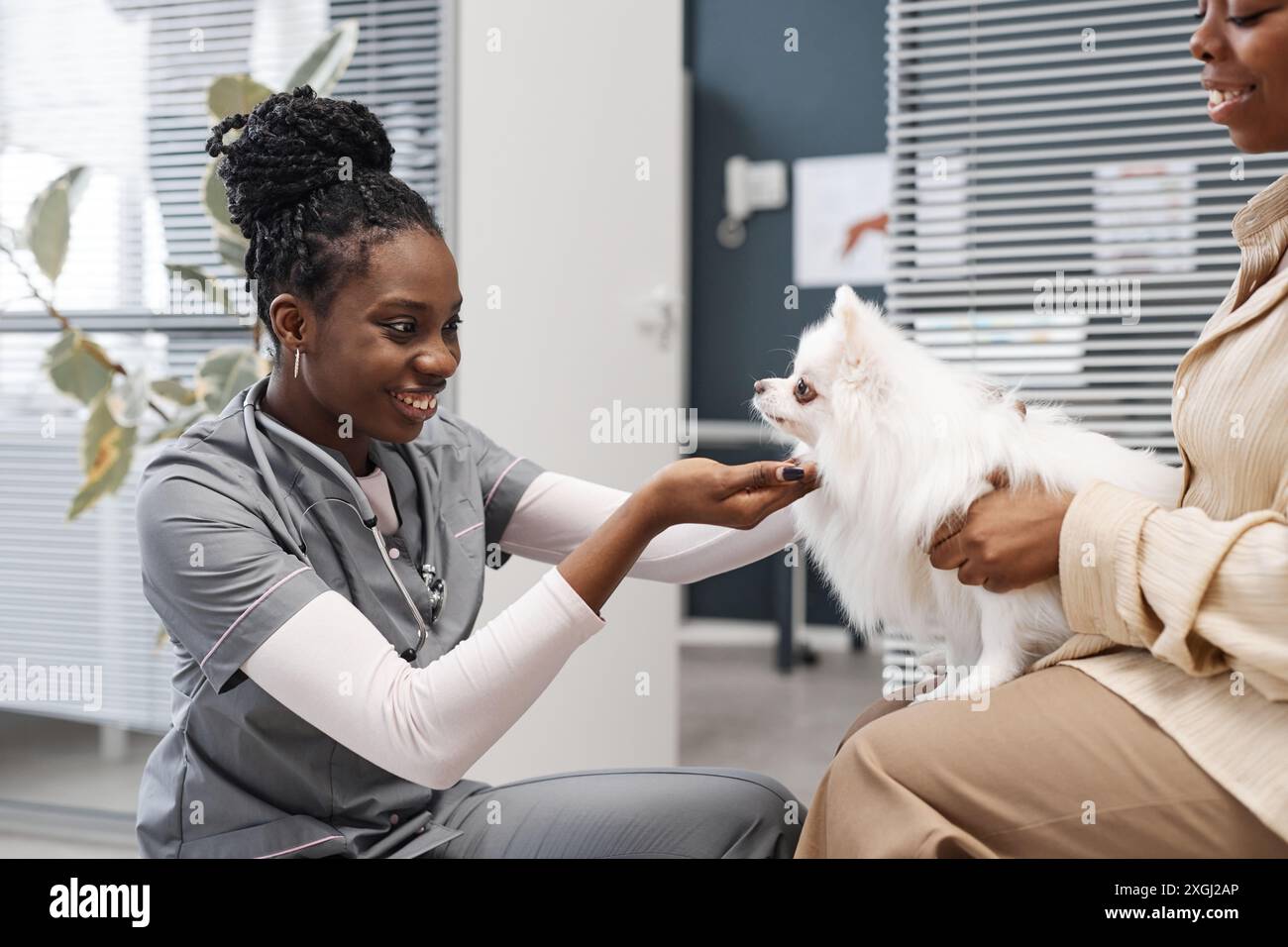 Felice esperta di veterinaria afroamericana con stetoscopio che incontra adorabile cane pomerania sulle mani dei proprietari proprio prima dell'esame fisico nella sala d'attesa della clinica veterinaria, spazio di copia Foto Stock